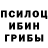 ГАШ гашик Arina Yanets
