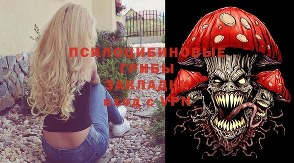 экстази Богородск