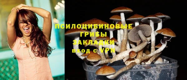 мет Белокуриха