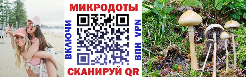 где купить наркоту  площадка телеграм  Псилоцибиновые грибы мухоморы  Большой Камень 
